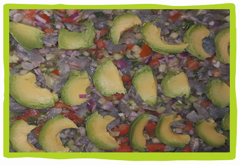 Ceviche Extra Grande Camaron